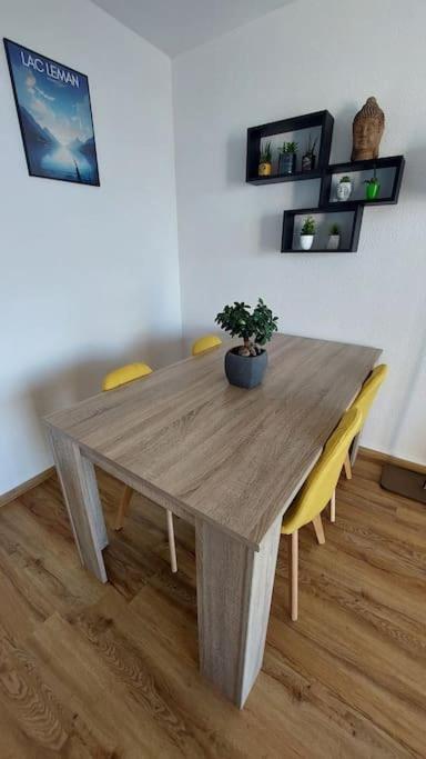Appart Cosy Avec Vue Sur Le Lac Leman 에비앙레스벵즈 외부 사진