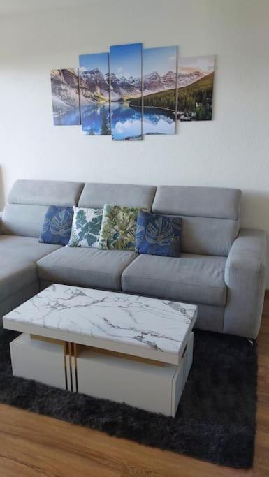 Appart Cosy Avec Vue Sur Le Lac Leman 에비앙레스벵즈 외부 사진