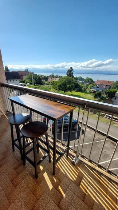 Appart Cosy Avec Vue Sur Le Lac Leman 에비앙레스벵즈 외부 사진