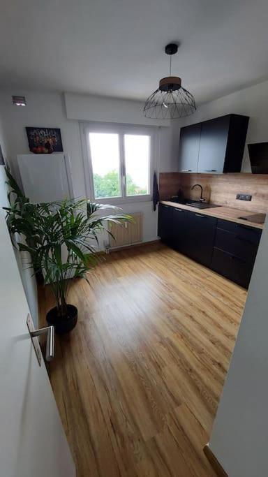 Appart Cosy Avec Vue Sur Le Lac Leman 에비앙레스벵즈 외부 사진